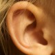 Ear